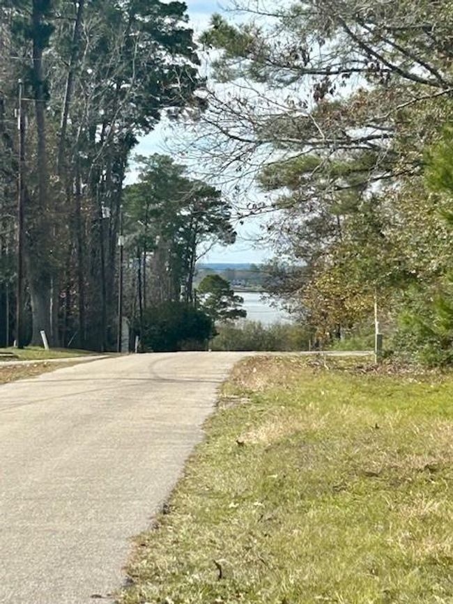 0 Honeysuckle, Home with 0 bedrooms, 0 bathrooms and null parking in Livingston TX | Image 12