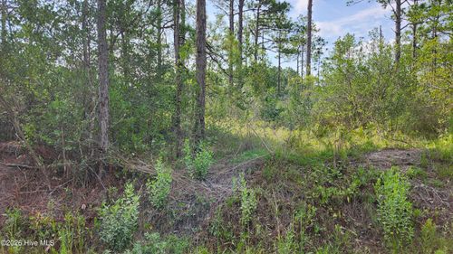Lot 452 Queens Road, Southport, NC, 28461 | Card Image