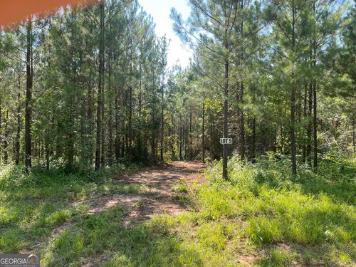 0 Mary Johnson Dr, Franklin, GA, 30217 | Card Image