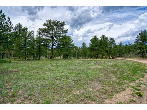 73 Sparn Way, Ward, CO, 80481-9506 | Card Image