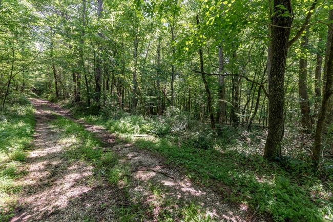 26.18 AC Green Road, Home with 0 bedrooms, 0 bathrooms and null parking in Young Harris GA | Image 6