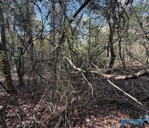 .3 acre lot Hine Street South, Athens, AL, 35611 | Card Image
