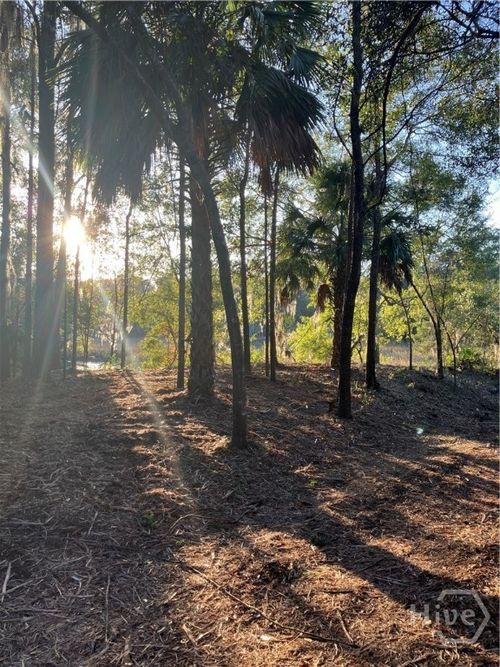 Lot 8 Hudson Creek Dr, Darien, GA, 31305-9408 | Card Image