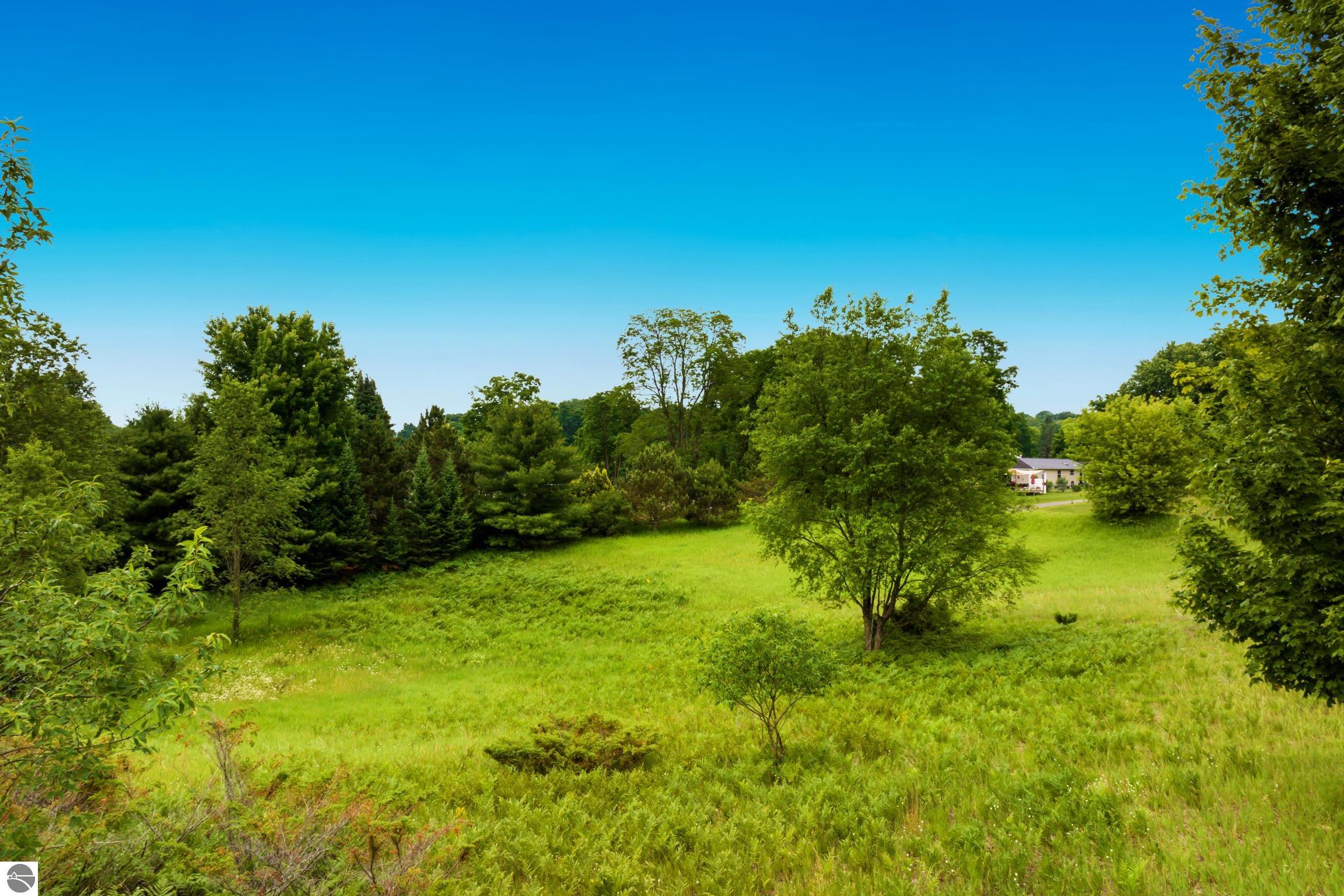 Land in Traverse City 4