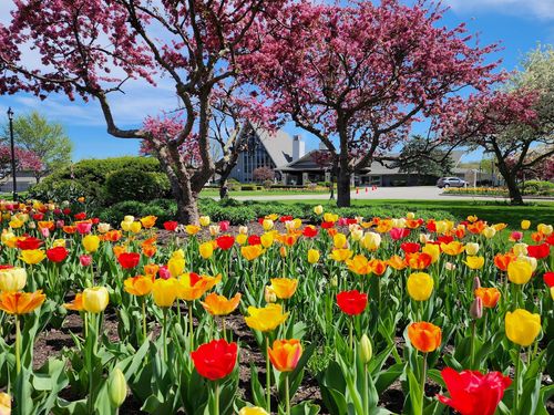 269 Fontana Blvd, FONTANA, WI, 53125-9604 | Card Image