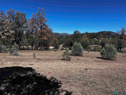 60 Oak St, Reserve, NM, 87830 | Card Image