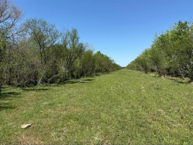 10542 Walker Rd, Home with 0 bedrooms, 0 bathrooms and null parking in Beasley TX | Image 6