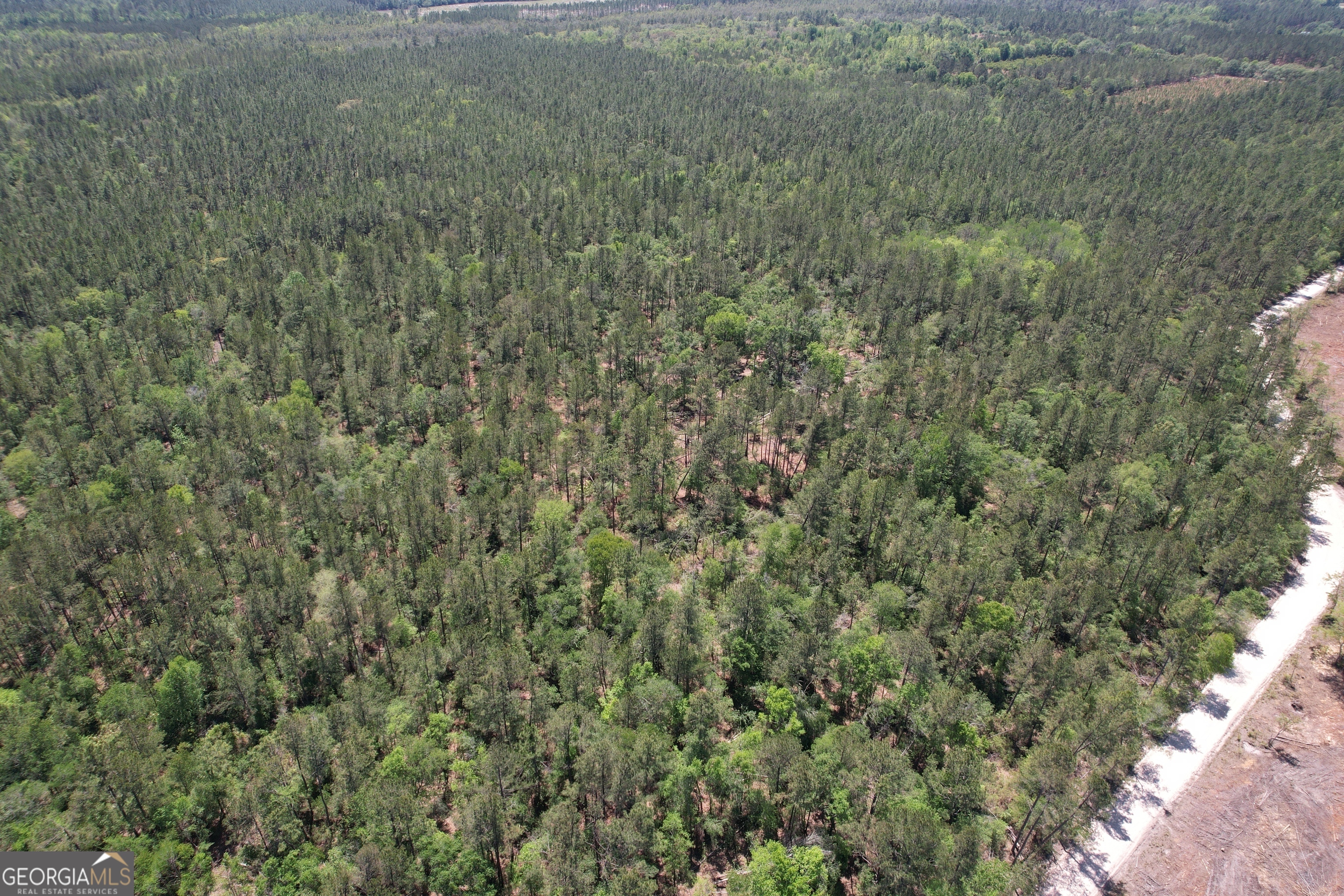 Land in Millwood 2