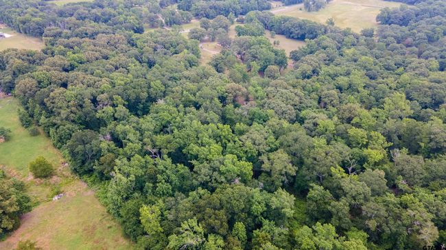 2206 E State Highway 154, Home with 0 bedrooms, 0 bathrooms and null parking in Quitman TX | Image 4