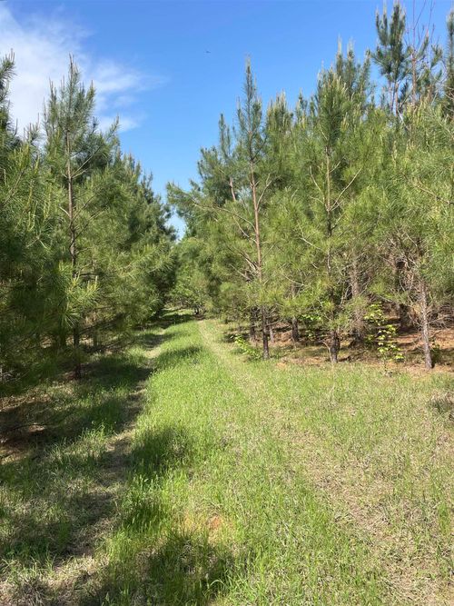 TBD Miller County 6, Doddridge, AR, 71834 | Card Image