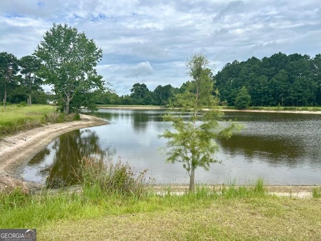 1302 Jim Sapp Rd, House other with 3 bedrooms, 3 bathrooms and null parking in Claxton GA | Image 46