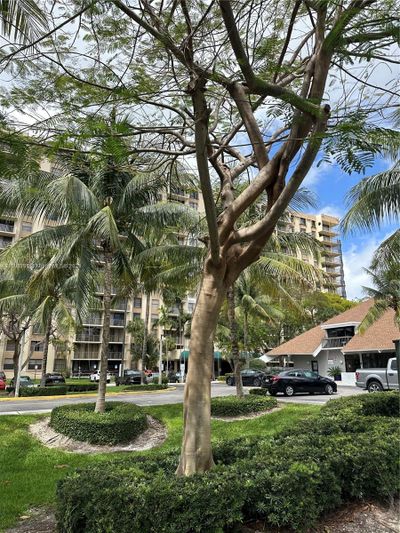 A104 - 1470 Ne 123rd St, Condo with 1 bedrooms, 1 bathrooms and null parking in North Miami FL | Image 1