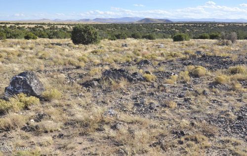 8Z Concho Creek Dr, Concho, AZ, 85924 | Card Image