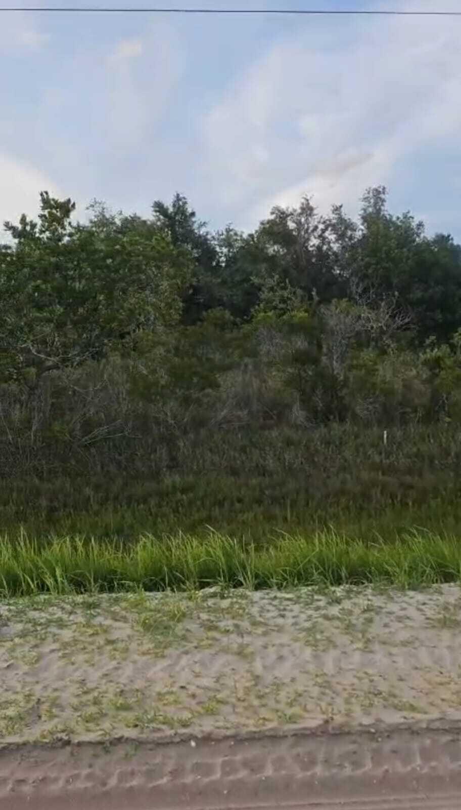 Land in Okeechobee 3