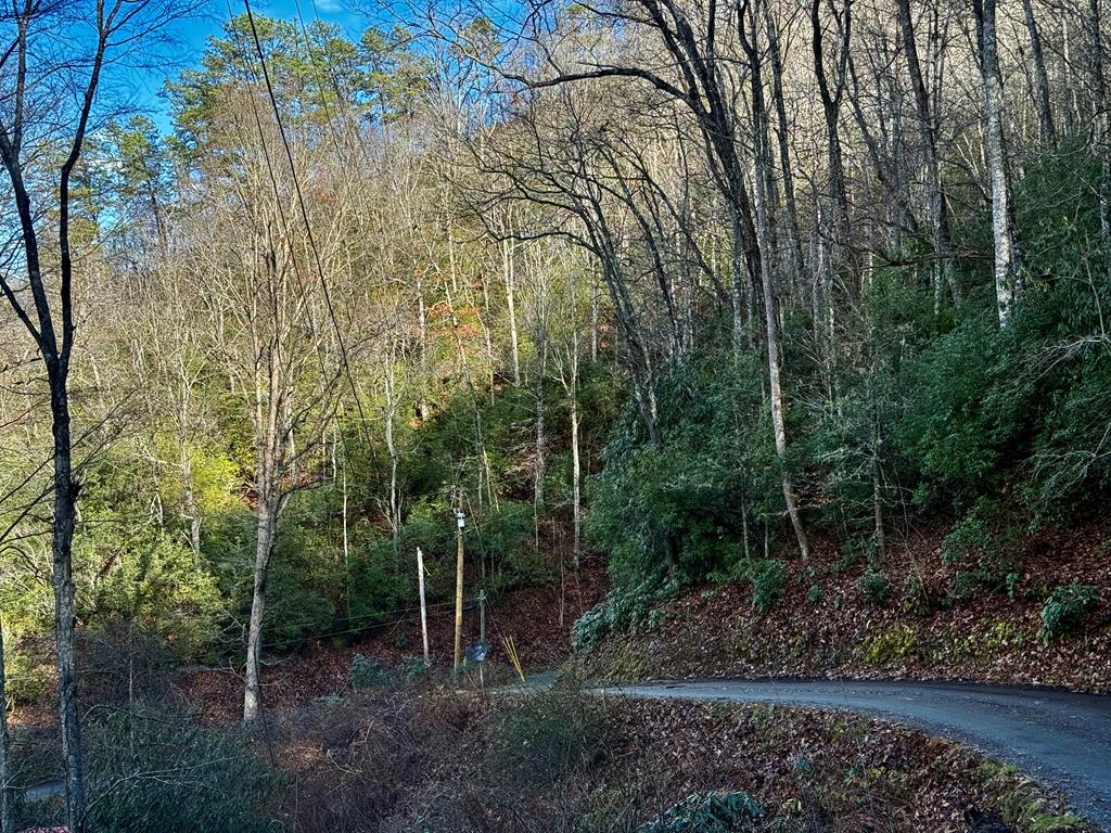 Land in Sylva 3
