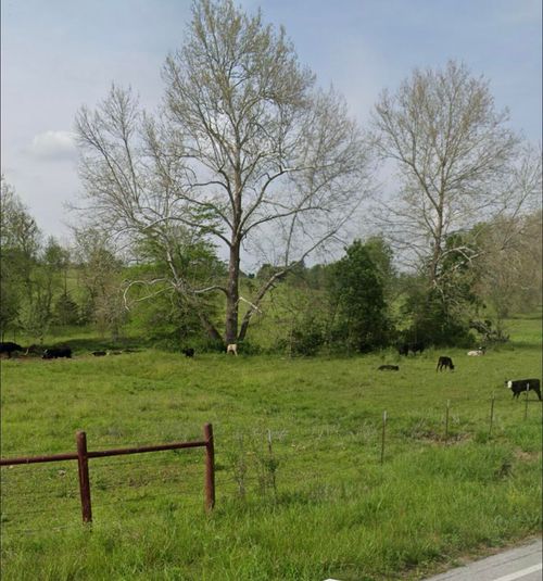 000 S Kennedy St, Walnut Grove, MO, 65770 | Card Image