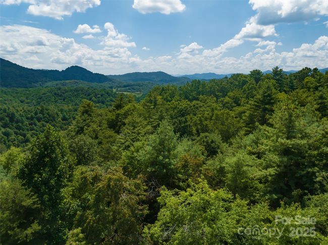 1 - 101 Red Maple Run, Home with 0 bedrooms, 0 bathrooms and null parking in Marshall NC | Image 40