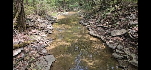 0 Whitfield Hollow Rd, Readyville, TN, 37149 | Card Image