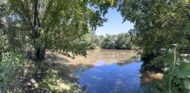 View of tank | Image 4