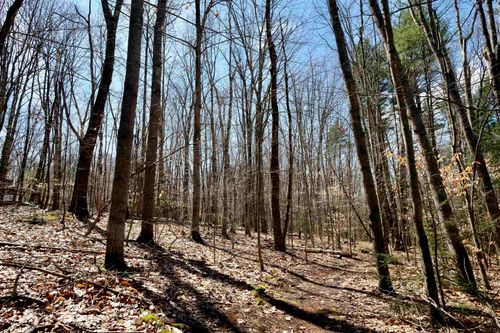 111 Page Rd, Bow, NH, 03304-4815 | Card Image