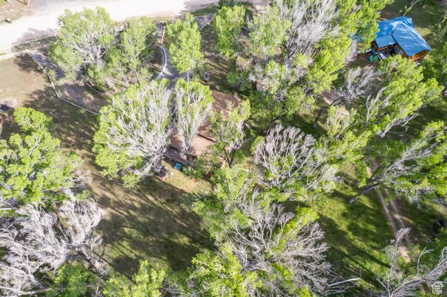 Aerial view | Image 59