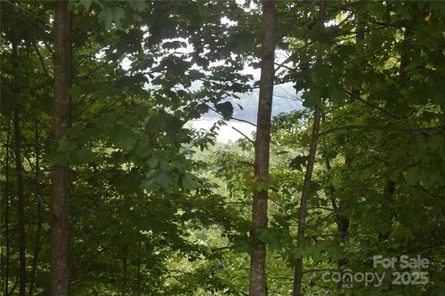 221-129 Captains Dr, Nebo, NC, 28761 | Card Image