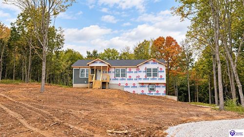 Lot 11 Berrytown Rd, Rineyville, KY, 40162-9315 | Card Image