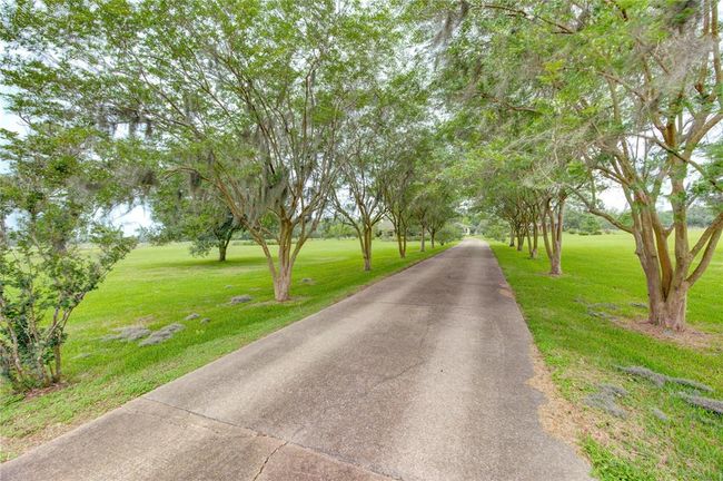 2418 Majestic Oaks Ct, House other with 5 bedrooms, 6 bathrooms and null parking in Rosharon TX | Image 5