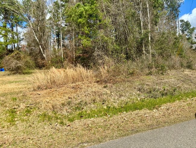 101 Will Thompson Rd, Home with 0 bedrooms, 0 bathrooms and null parking in Picayune MS | Image 14