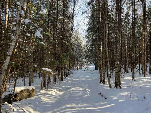 0 Shadow Lake Rd, Glover, VT, 05839 | Card Image