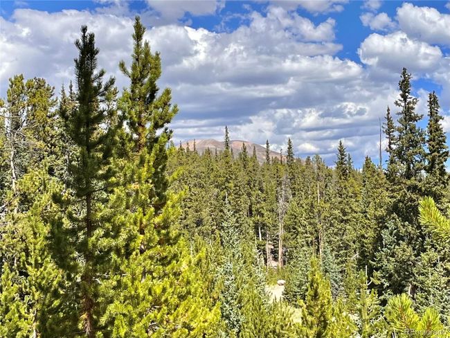 676 Dry Gulch Rd, Home with 0 bedrooms, 0 bathrooms and null parking in Fairplay CO | Image 15