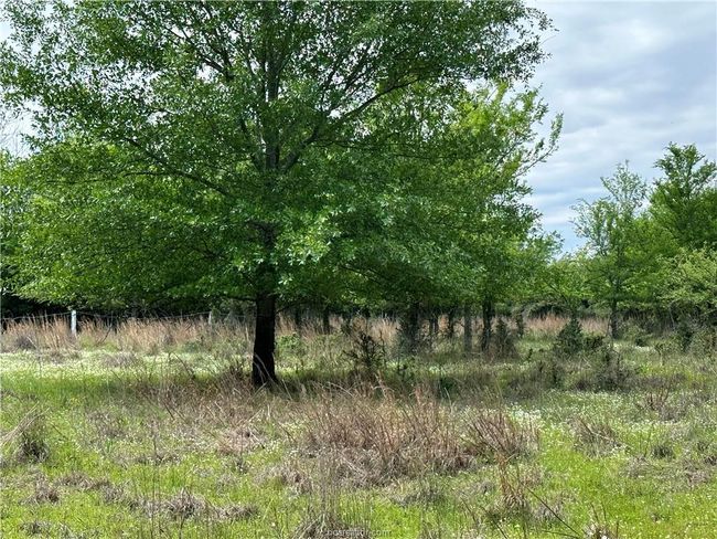 View of nature | Image 4