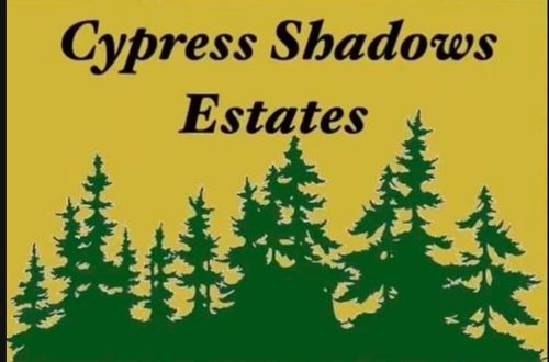 2975 Cypress Shadows Ln, Orange, TX, 77632 | Card Image