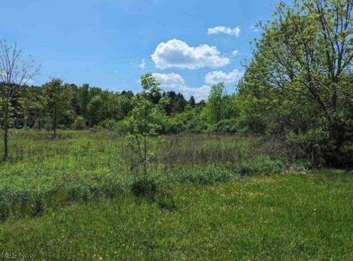 0 Ridgewood Rd, Wadsworth, OH, 44281 | Card Image