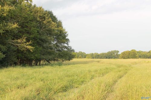 40.5 South Danville Road, Danville, AL, 35619 | Card Image