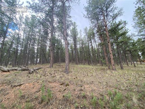 60 Pickens Rd, Florissant, CO, 80816 | Card Image