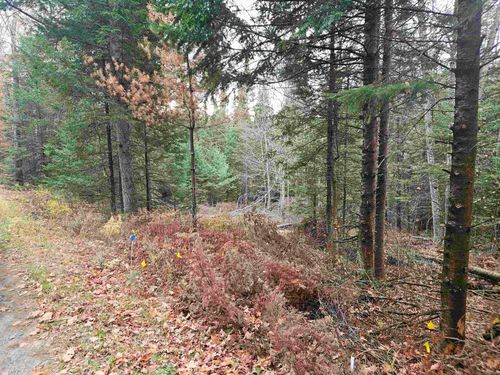 35 Langway Rd, Lyman, NH, 03585-3014 | Card Image