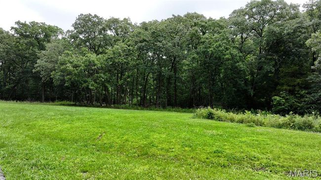 View of grassy yard featuring a wooded view | Image 31