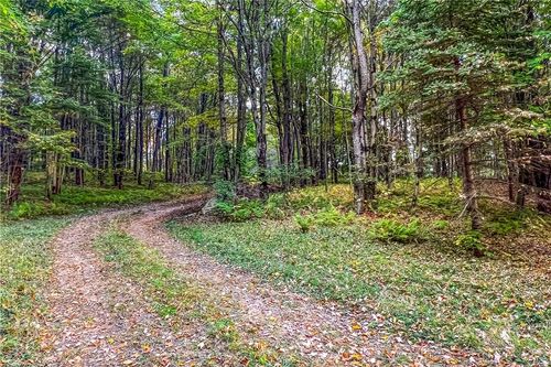 1135 Ridge Rd, Hamden, NY, 13782-1627 | Card Image