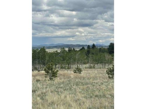187 Angus Cir, Hartsel, CO, 80449 | Card Image
