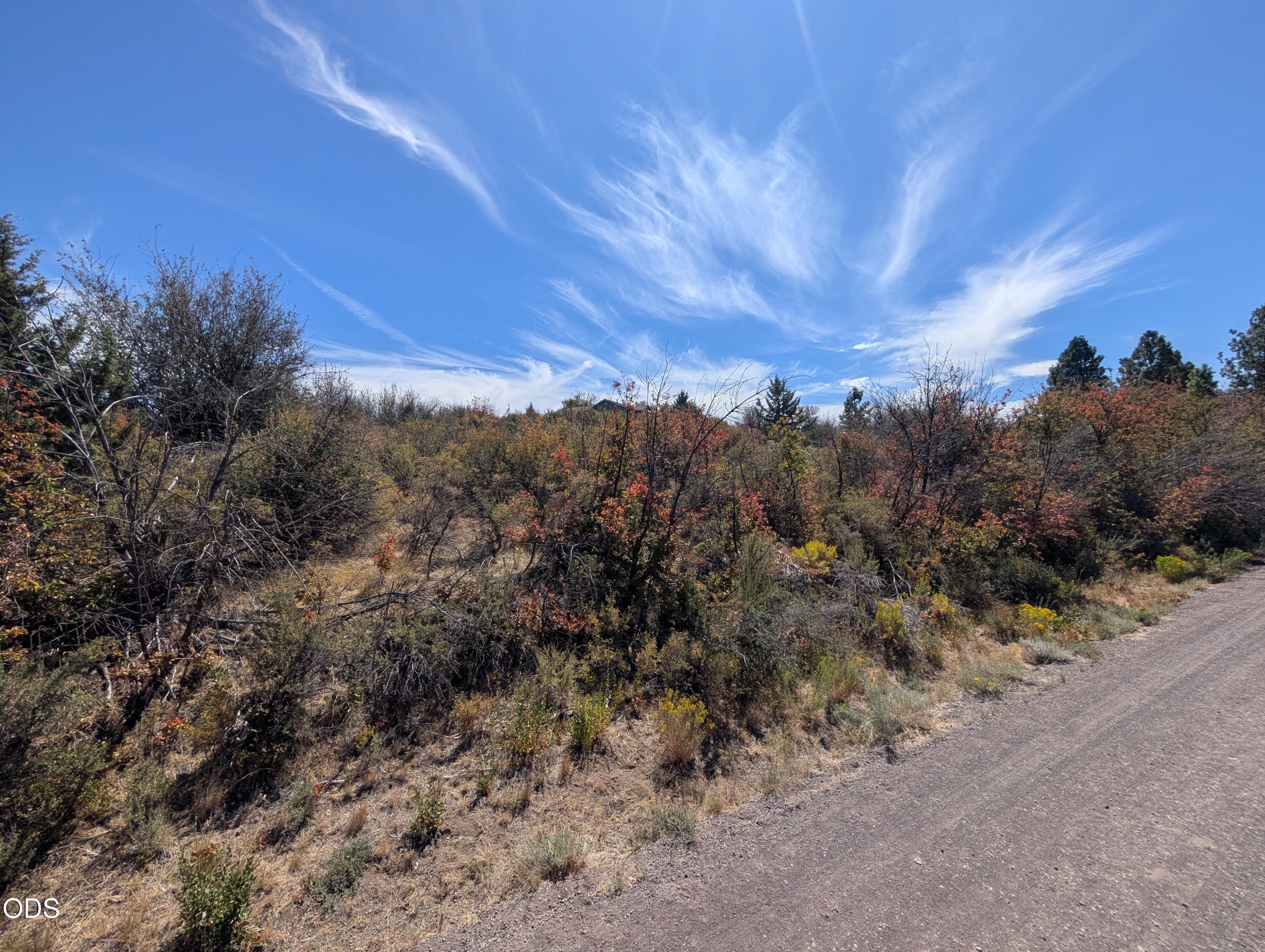 Land in Chiloquin 3