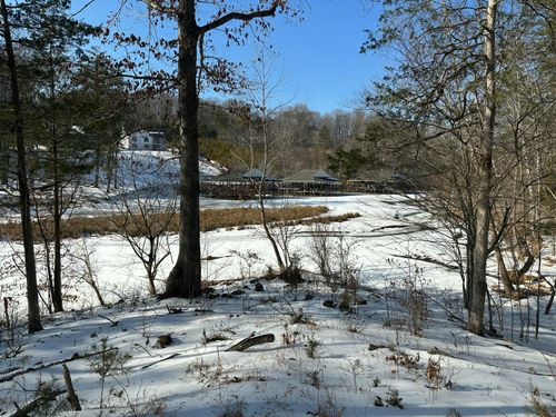 Lot 42 Lakewatch Cir, Moneta, VA, 24121-4024 | Card Image