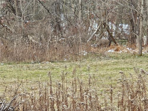 lot-2-2505 Guffey Rd, North Huntingdon, PA, 15642-8703 | Card Image