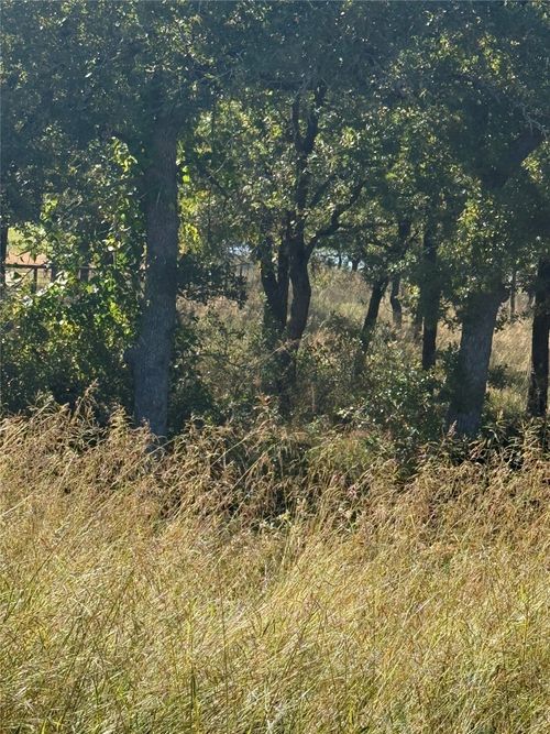 416 Sunset Bay Pointe Ct, Chico, TX, 76431 | Card Image