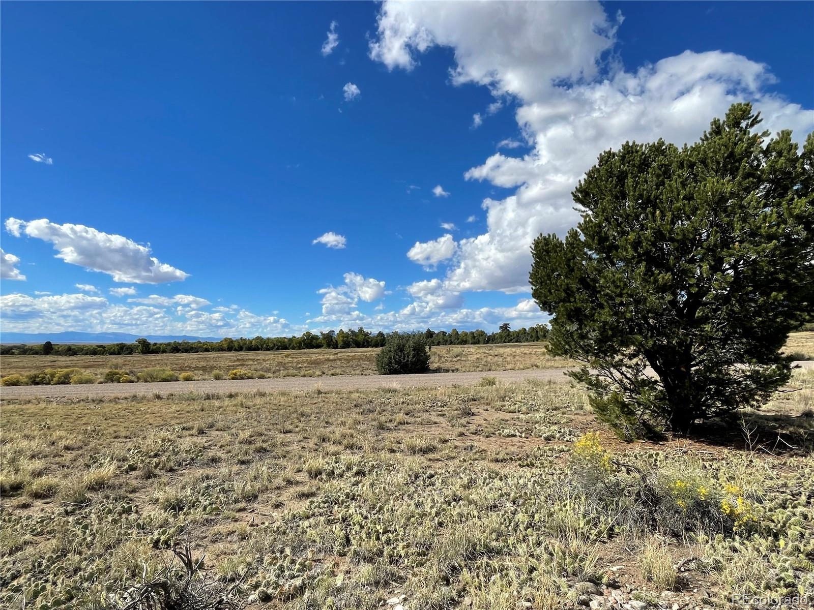 Land in Crestone 5