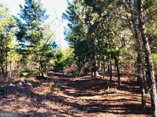 245 Dog Track Rd, Mauk, GA, 31058-2784 | Card Image