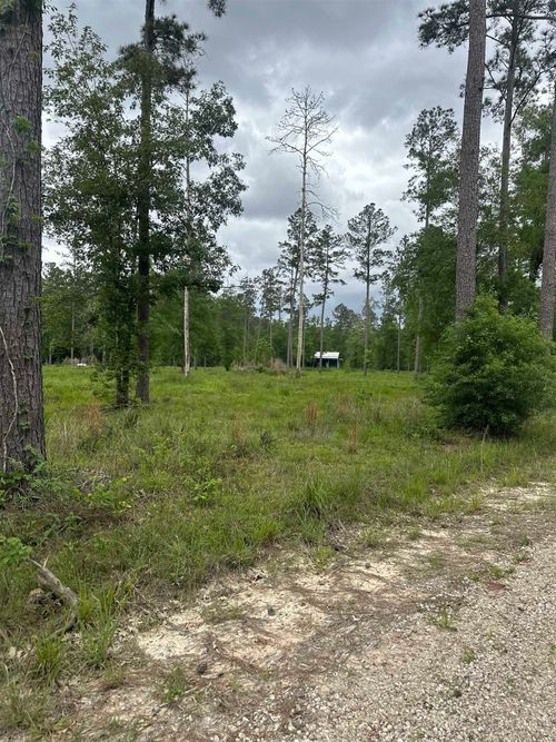 15339 Southern Ln, Sour Lake, TX, 77659-1009 | Card Image