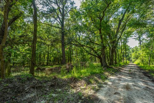 0 Geneva Shaw Ln, Wadmalaw Island, SC, 29487 | Card Image
