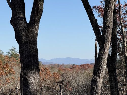 Lot 75 Morgan Road, Mineral Bluff, GA, 30559 | Card Image