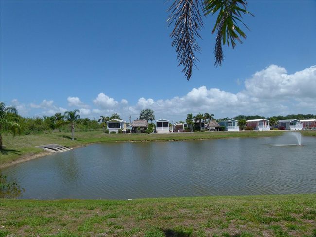Pond | Image 5